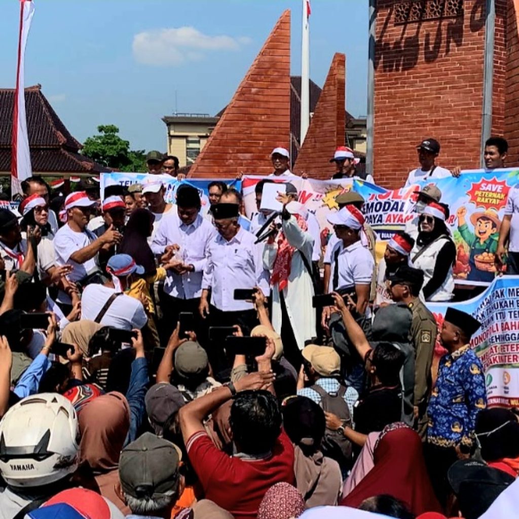 Bagikan 1 Juta Telur, Peternak Blitar Raya Protes Harga Anjlok dan Tolak Investor...