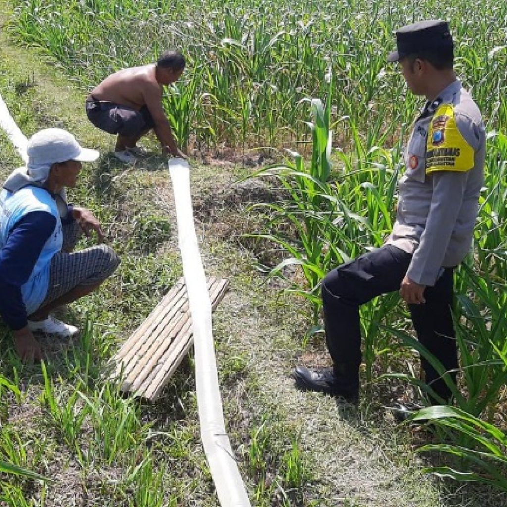 Bhabinkamtibmas Sananwetan Perkuat Ketahanan Pangan Lewat Pendampingan Langsung