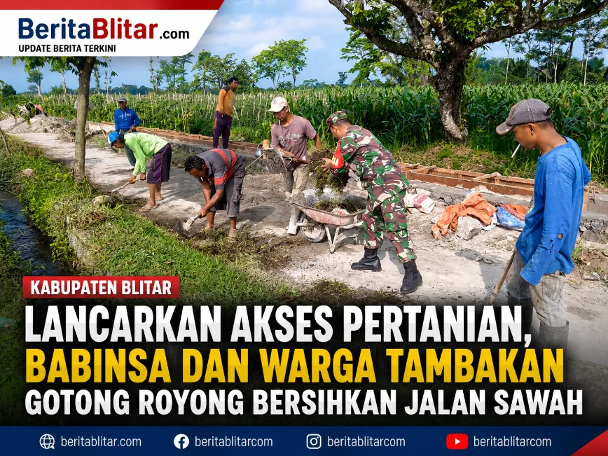 Lancarkan Akses Pertanian, Babinsa dan Warga Tambakan Gotong Royong Bersihkan Jalan...