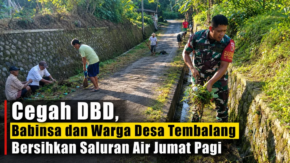 Cegah DBD, Babinsa dan Warga Desa Tembalang Bersihkan Saluran Air Jumat Pagi