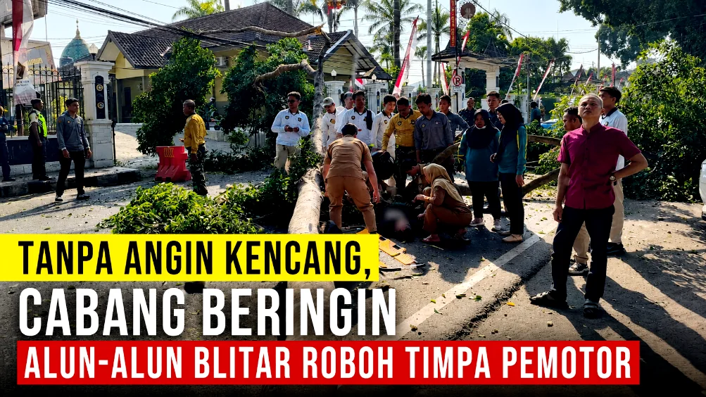 Tanpa Angin Kencang, Cabang Beringin Alun-alun Blitar Roboh Timpa Pemotor