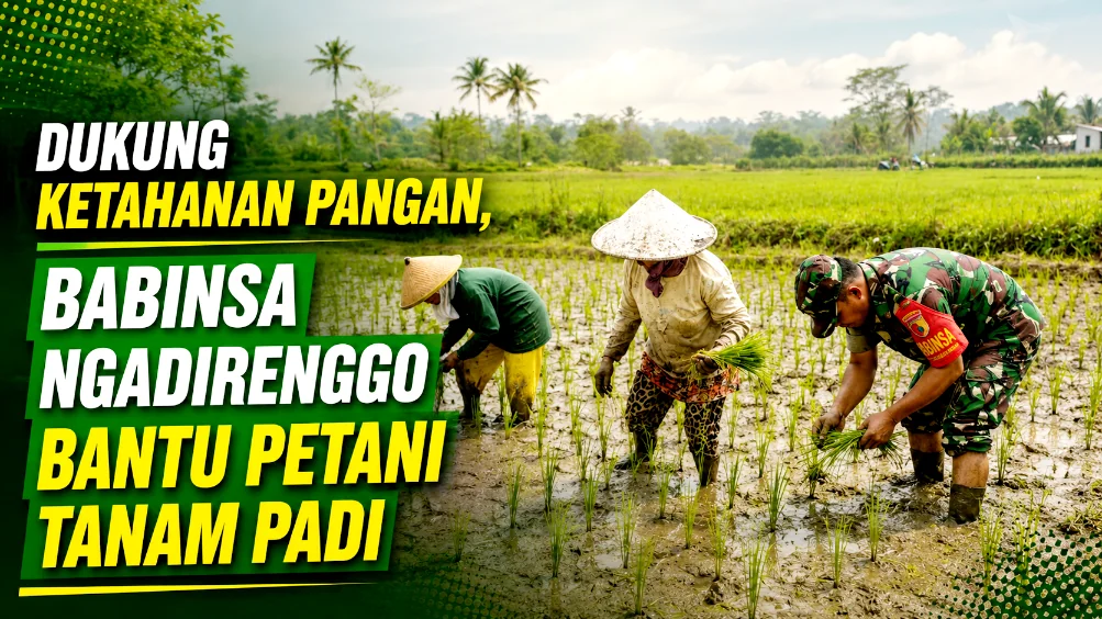 Dukung Ketahanan Pangan, Babinsa Ngadirenggo Bantu Petani Tanam Padi