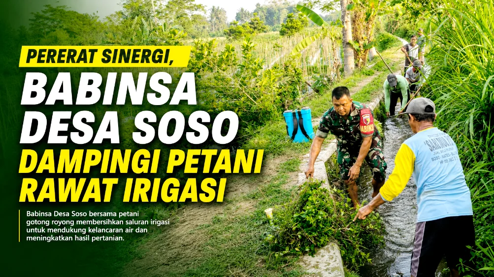 Pererat Sinergi, Babinsa Desa Soso Dampingi Petani Rawat Irigasi