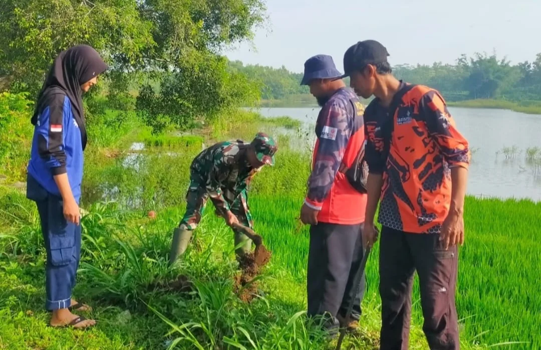 Telaga Mojorejo Dihijaukan, Babinsa Bersama Warga & Pelajar Tanam Pohon